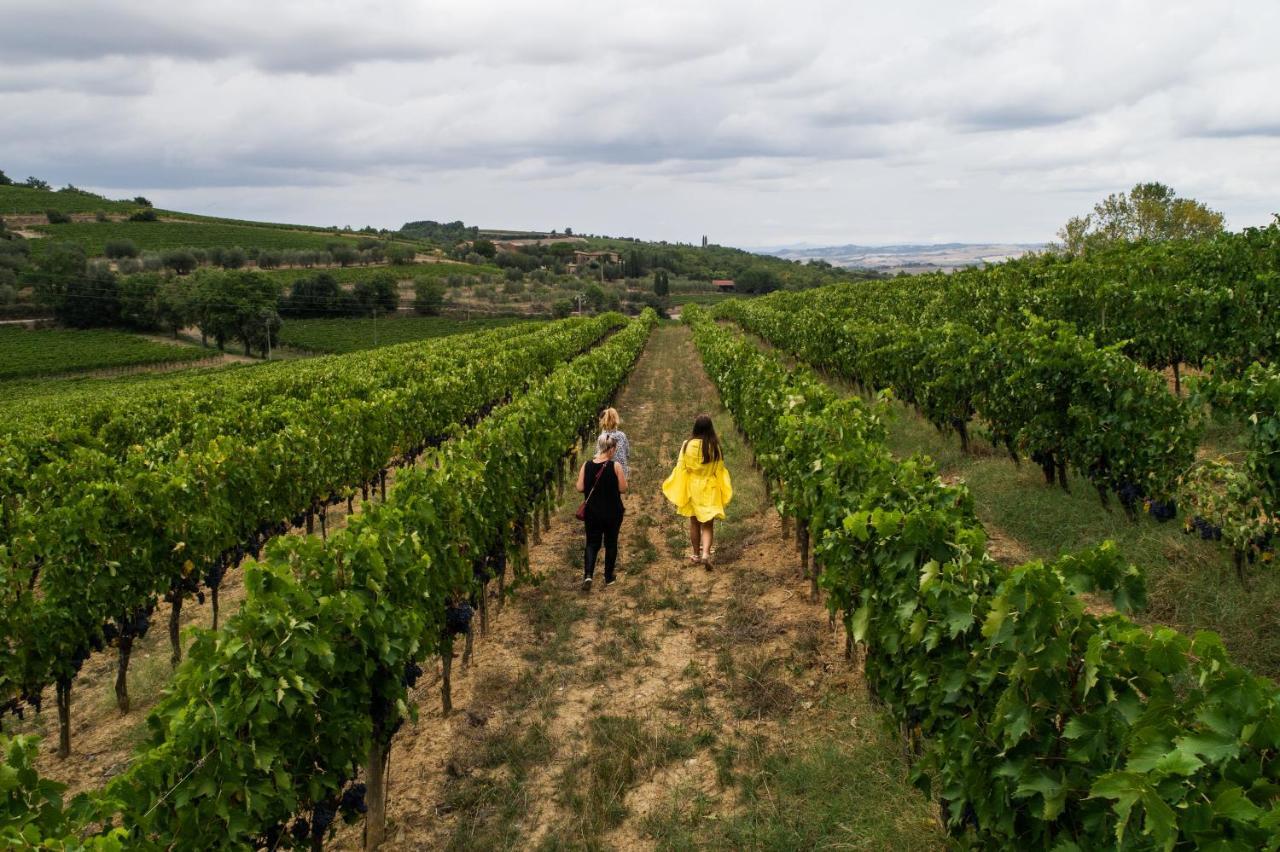 Wine Estate Rooms Paradiso Di Cacuci Montalcino Exteriér fotografie